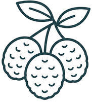 Lychee